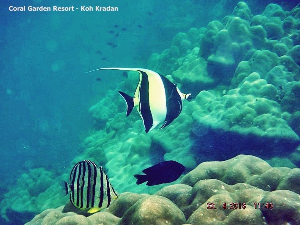 Coral Garden Resort Ко-Крадан Екстер'єр фото